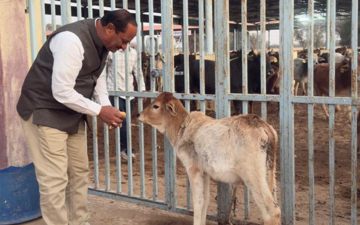 गौसेवा एवं राशन वितरण