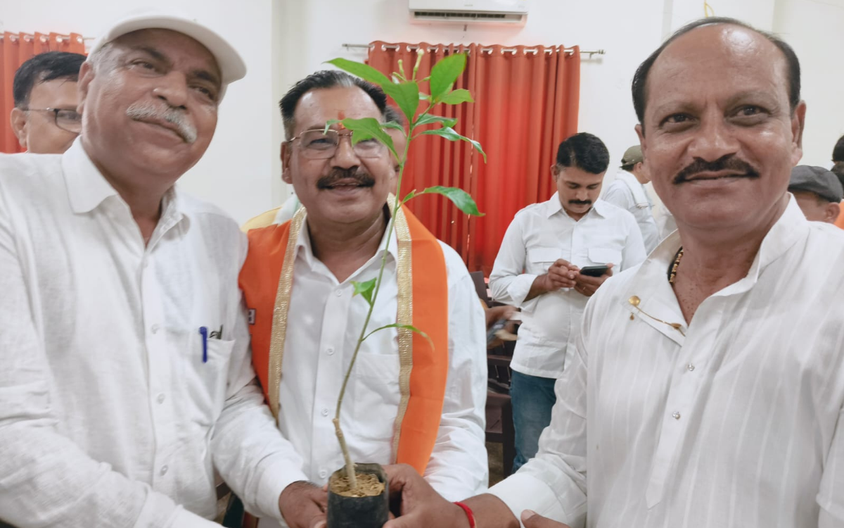 भाजपा संगठनात्मक गतिविधियां