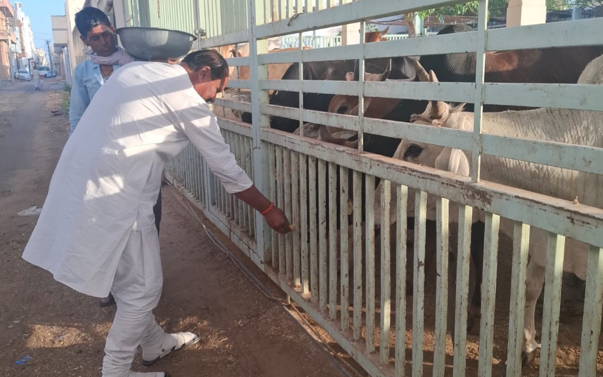 गौसेवा