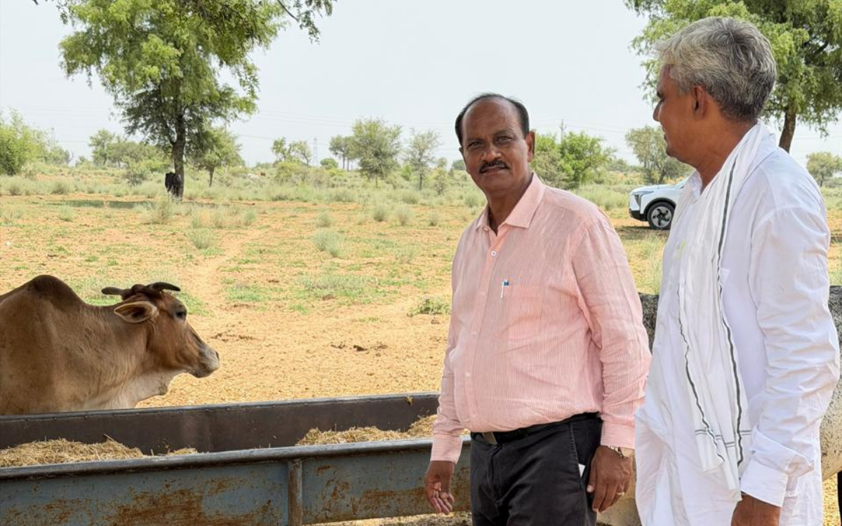 गौसेवा और सामाजिक सेवा
